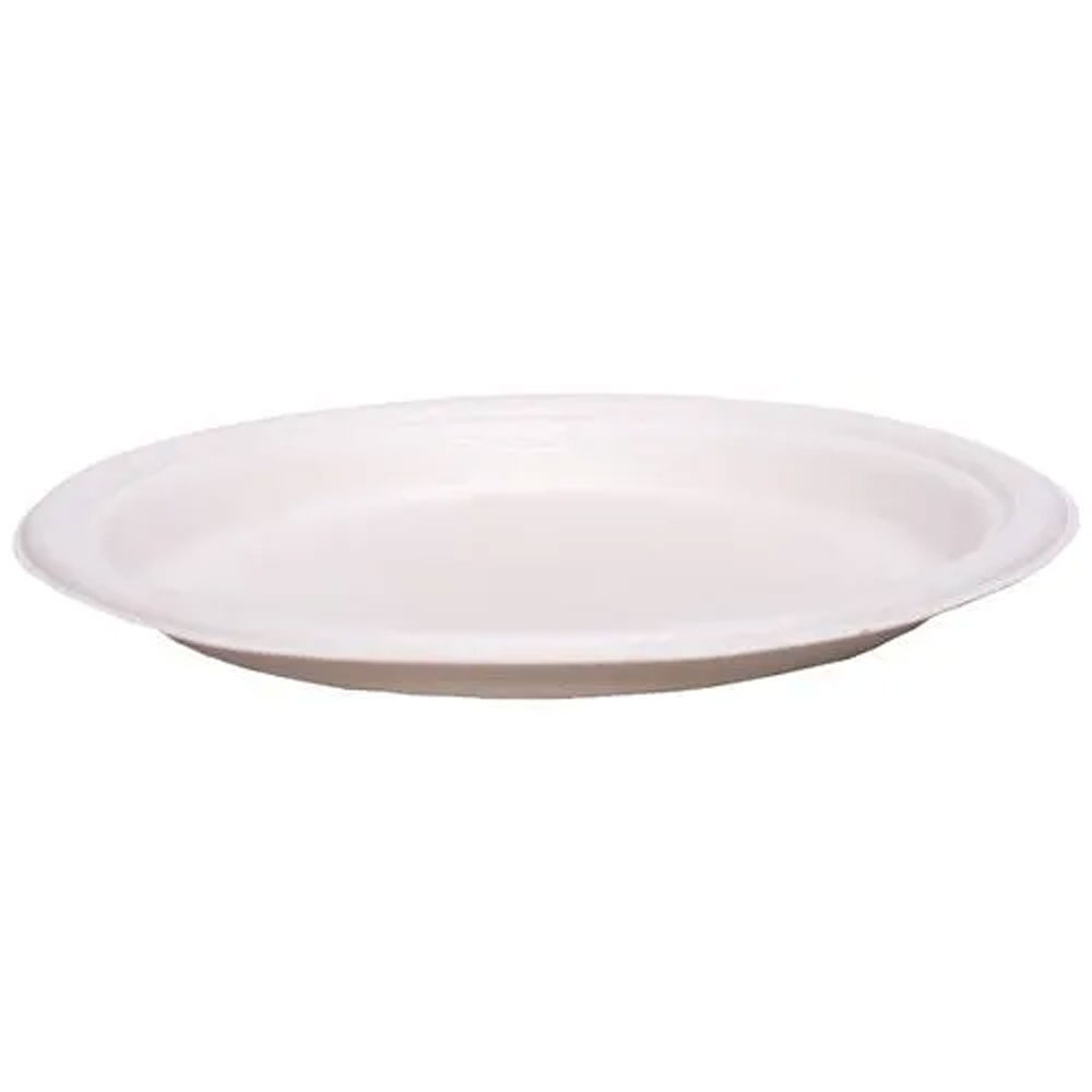 Disposable Plain Dish 10 view